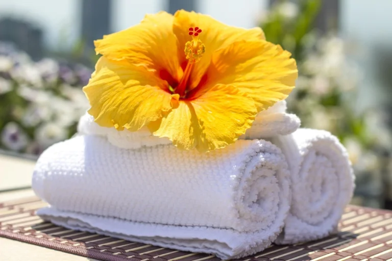 Ayurveda in Motion How Ayurvedic Massage Supports Overall Balance